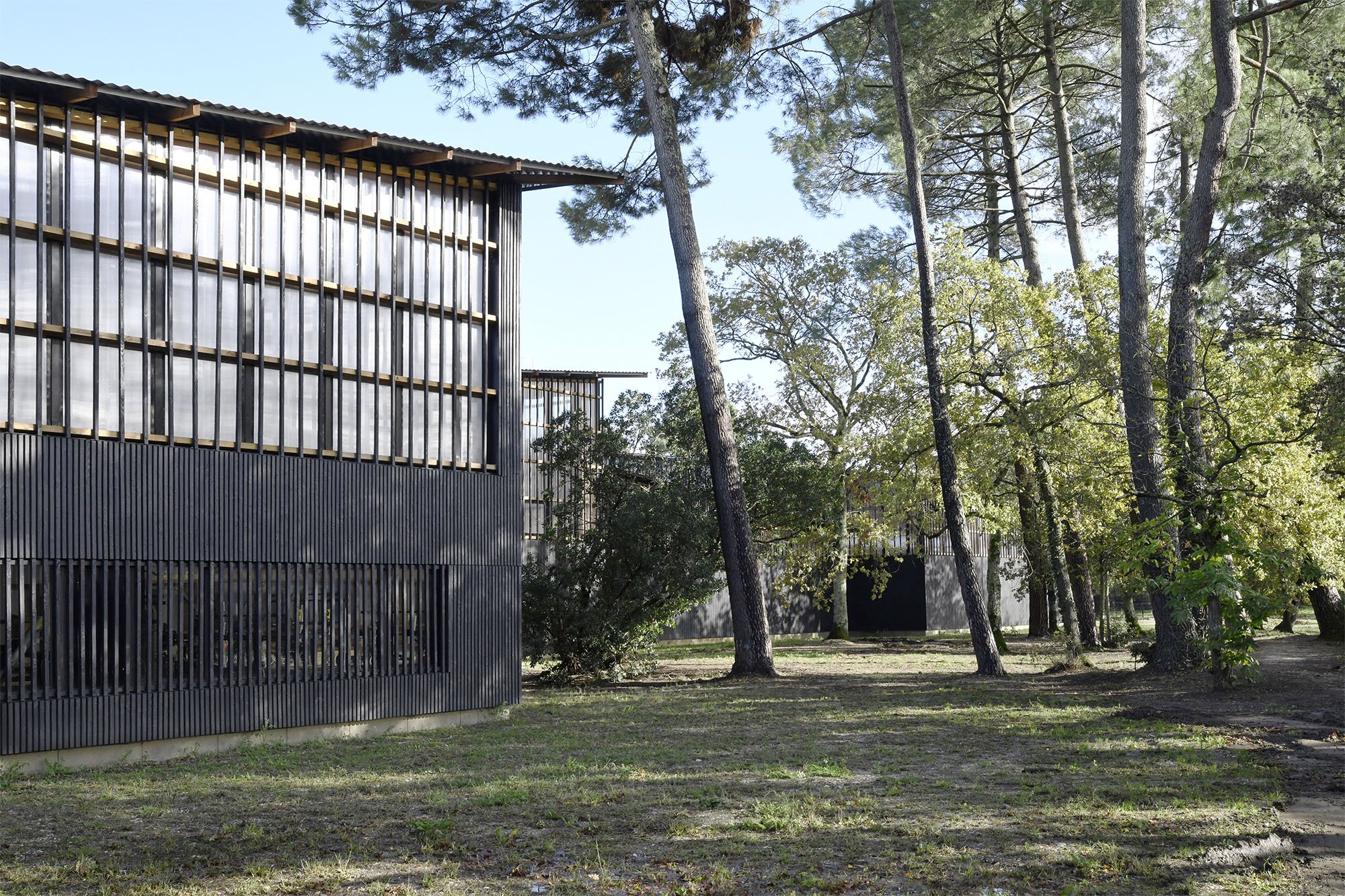 皮埃尔·保罗·伯纳德体育场丨法国丨K ARCHITECTURES-15