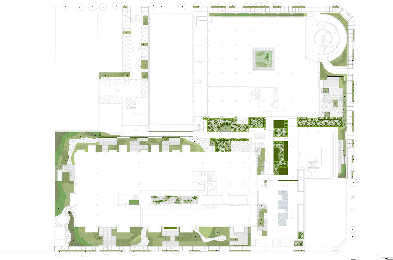 Coyoacán公司校园-16