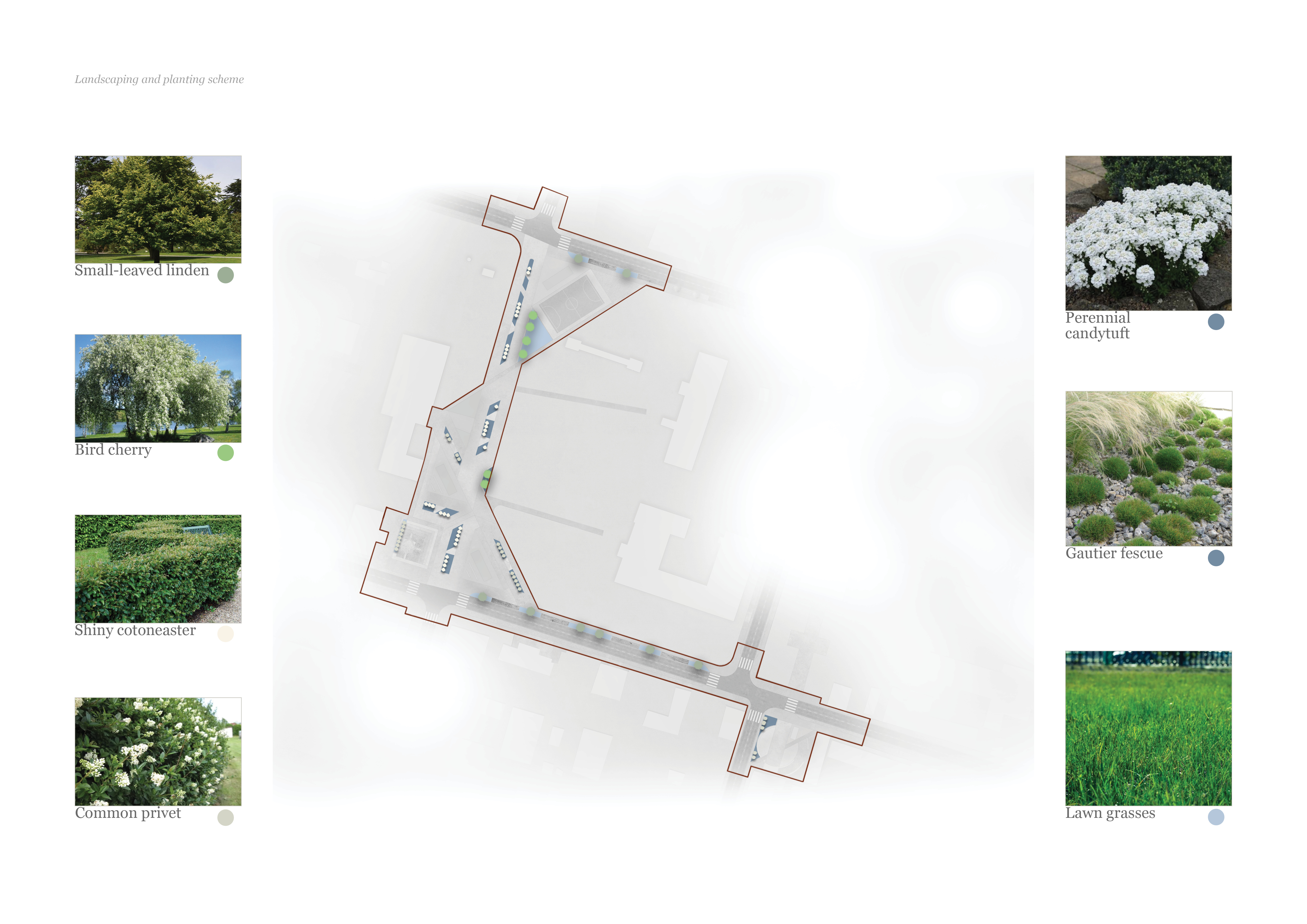 Where creativity springs from…-31