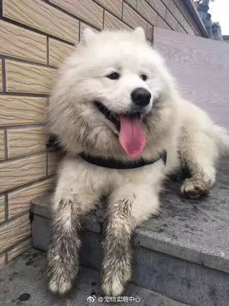 魔都人对地铁的“恨”与“爱”-28