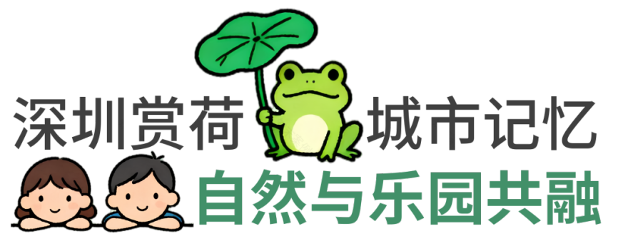 深圳城市记忆洪湖公园:荷塘月色主题儿童乐园丨龙祥康体设计施工整体案例-1