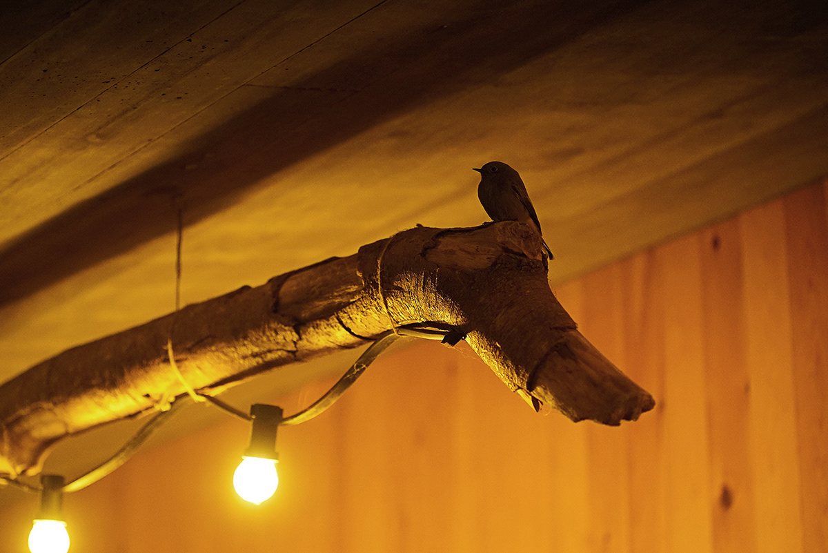 雀之恋·浪漫马术酒店“尼迪塔斯”-19