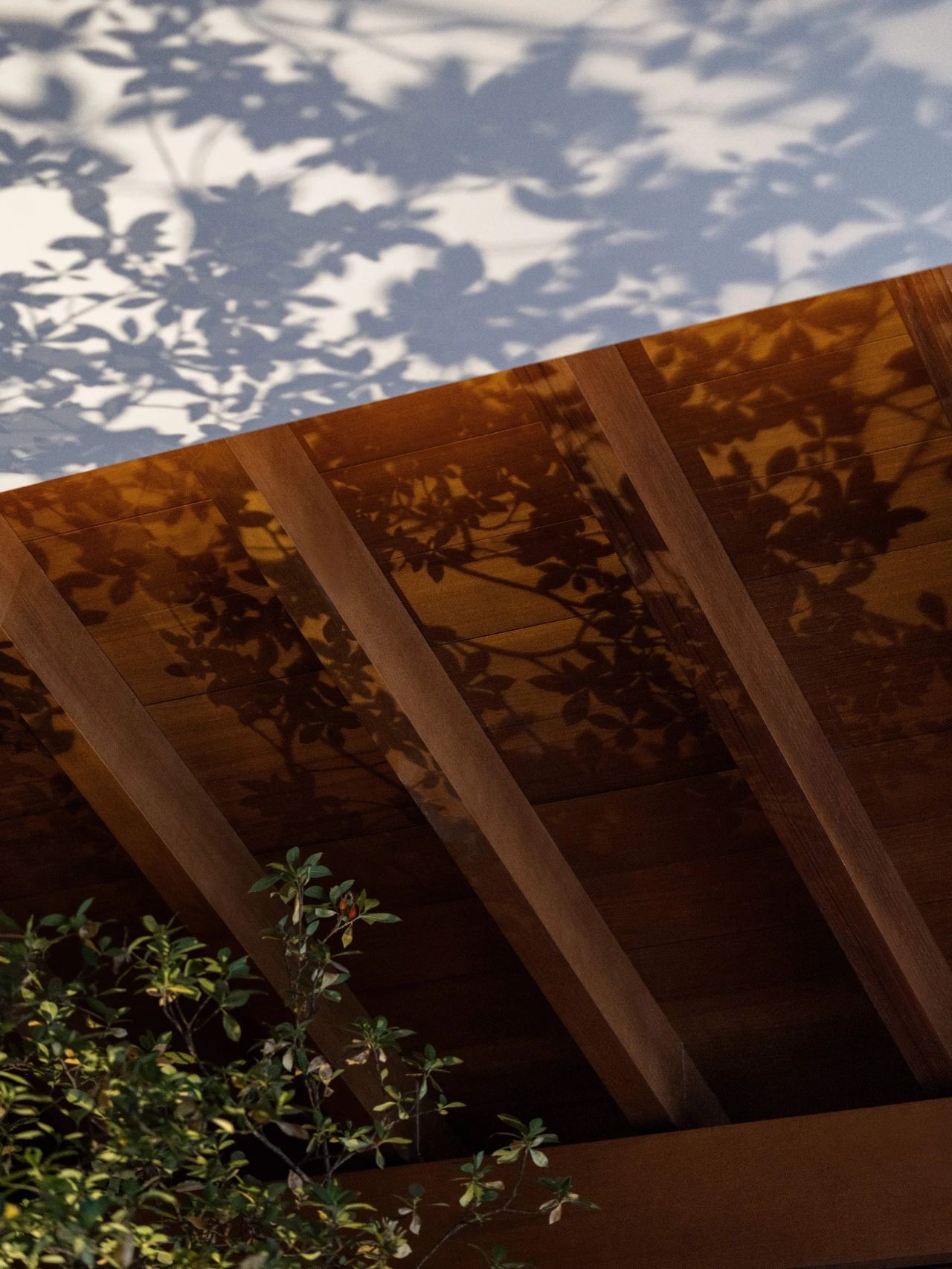 玖伍京菜丨中国温州丨无形美学-60