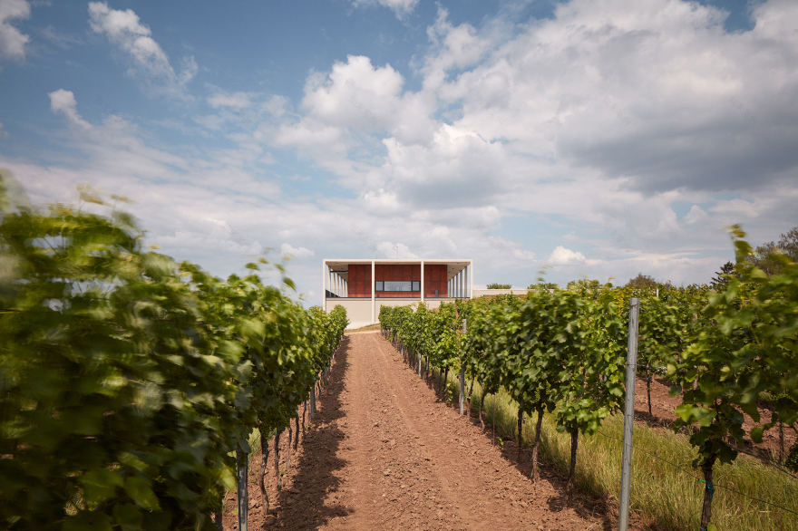 Obelisk酒庄,捷克 / AiD team a.s.-7