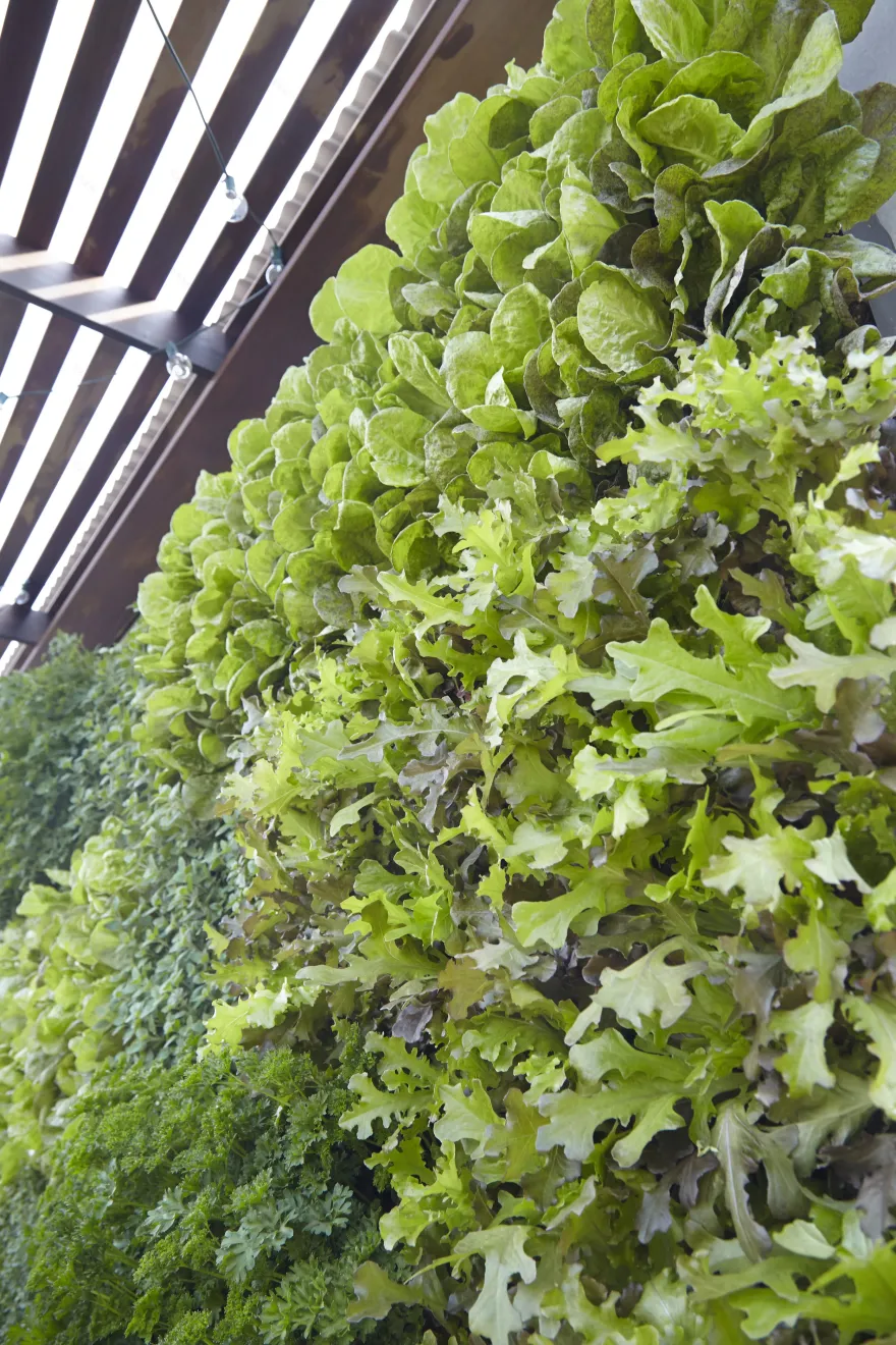 爱彼迎生态舱丨法国尼斯-36