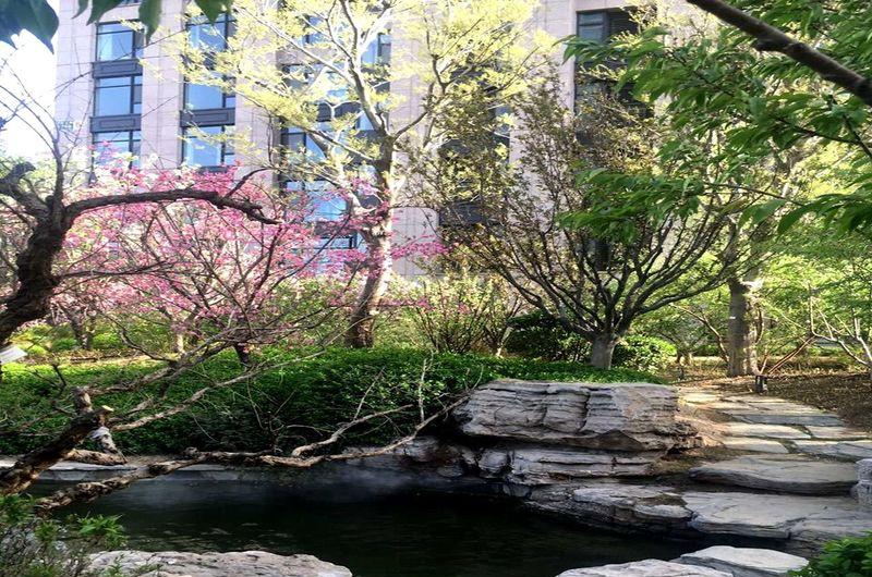 北京紫御华府-23