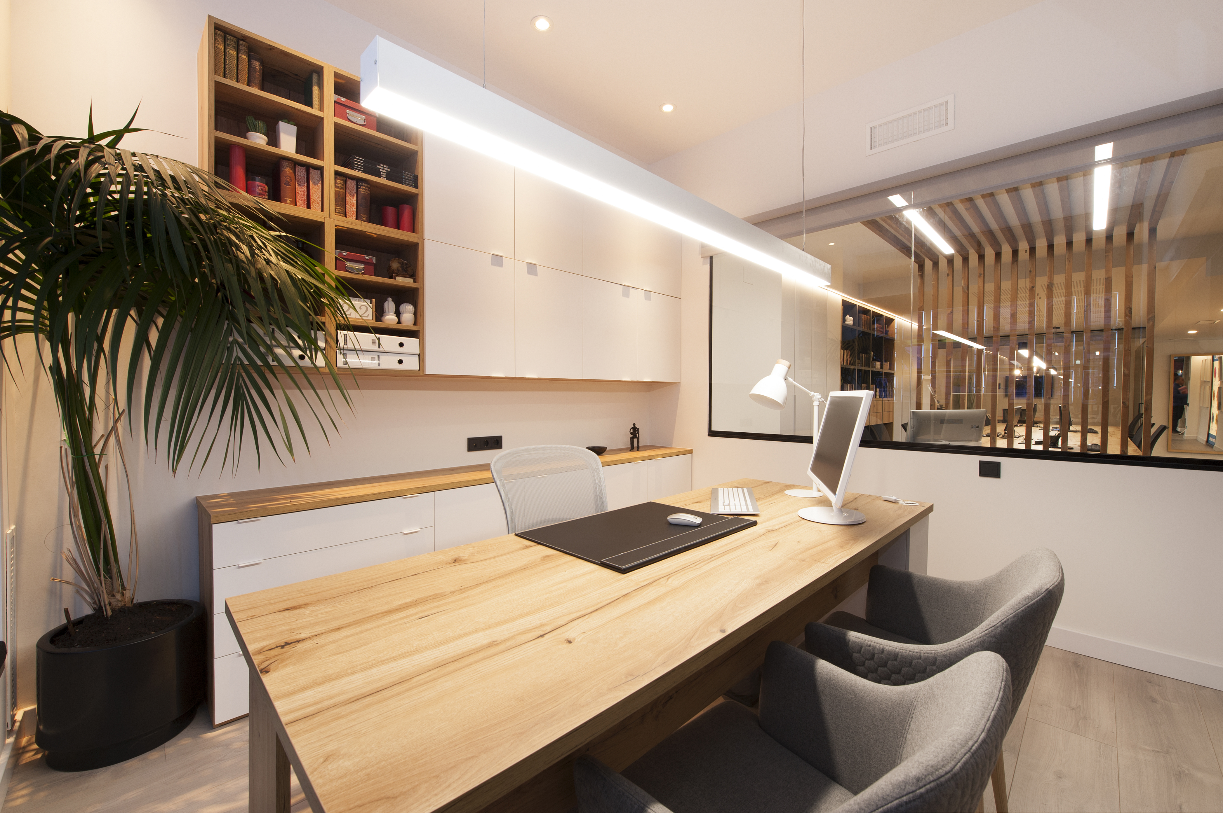 芬卡斯·布拉诺房地产办公室丨西班牙巴塞罗那丨Sincro-13