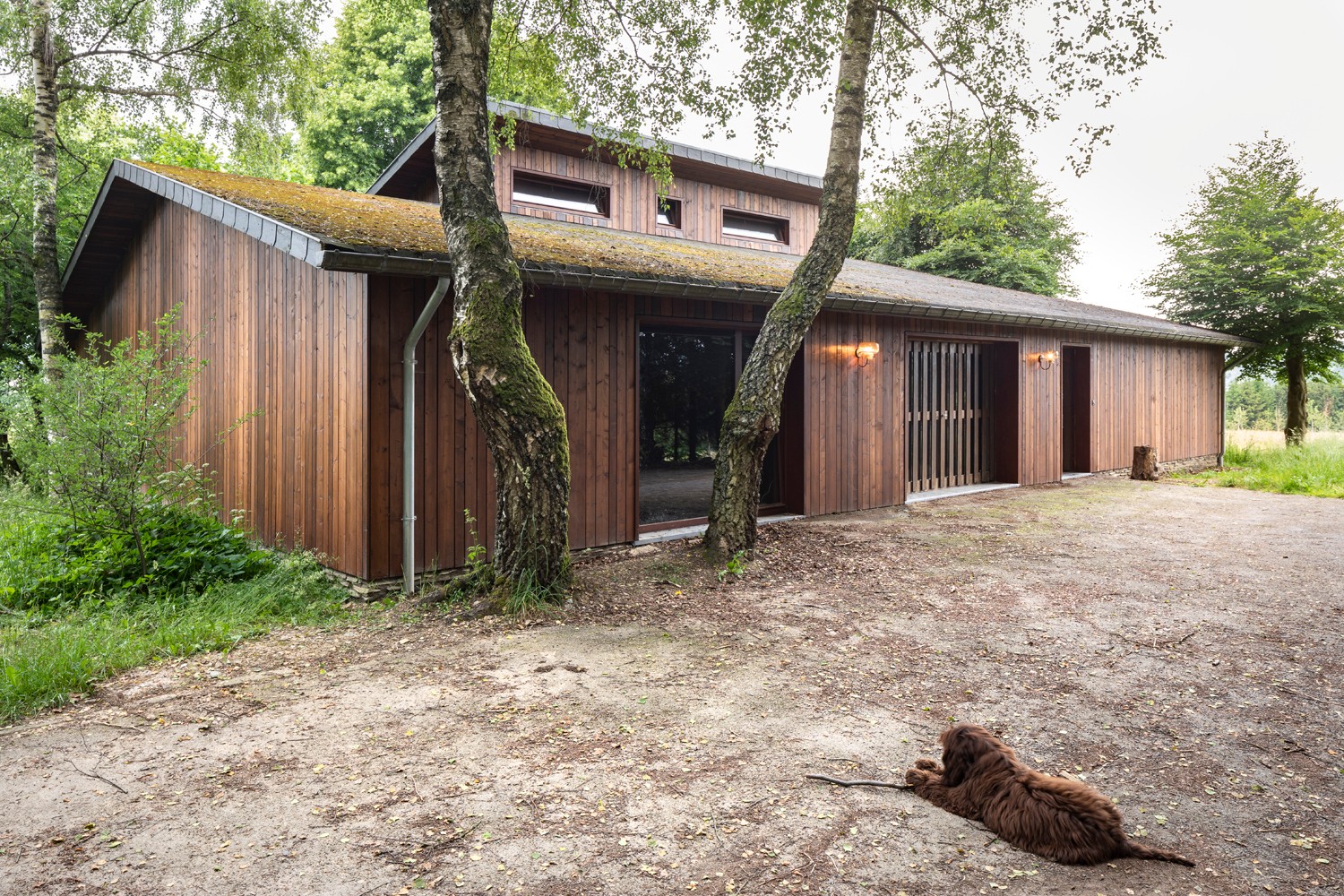 比利时度假别墅-8