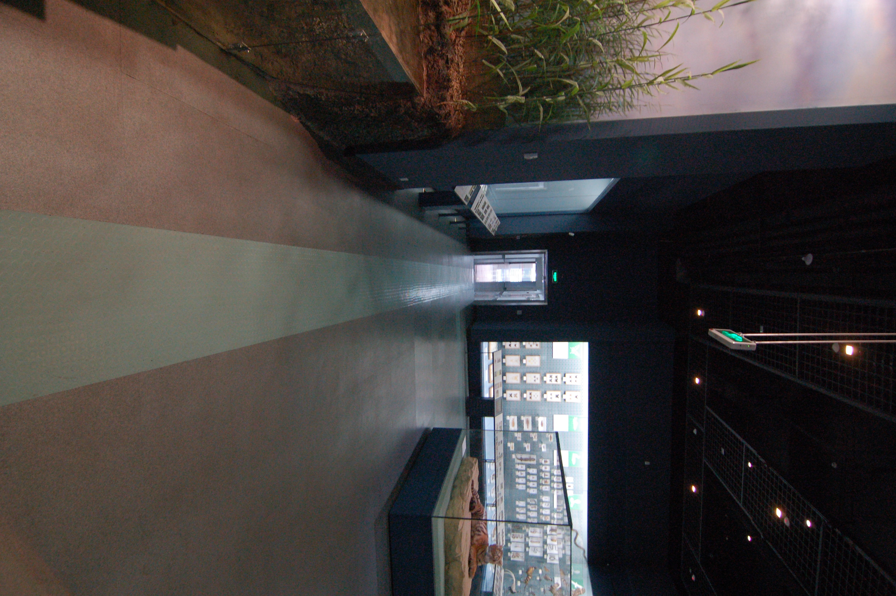 博物馆城市规划馆-2-4