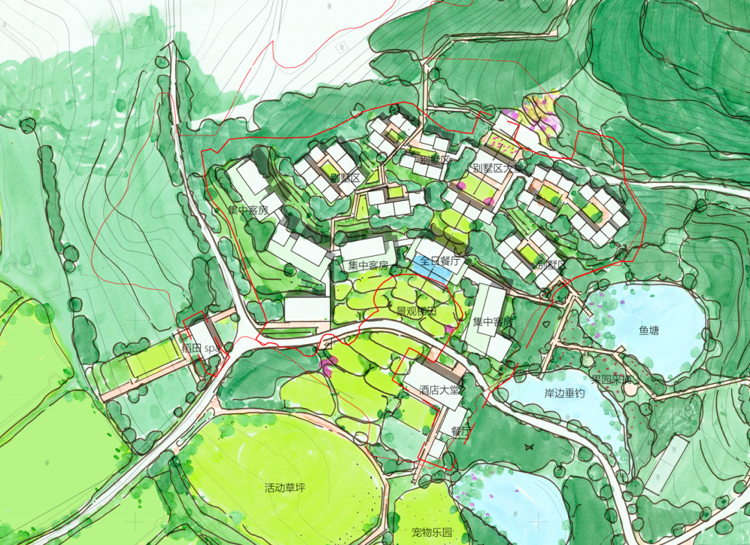 暮色分星野-星野蓬境精品民宿-20