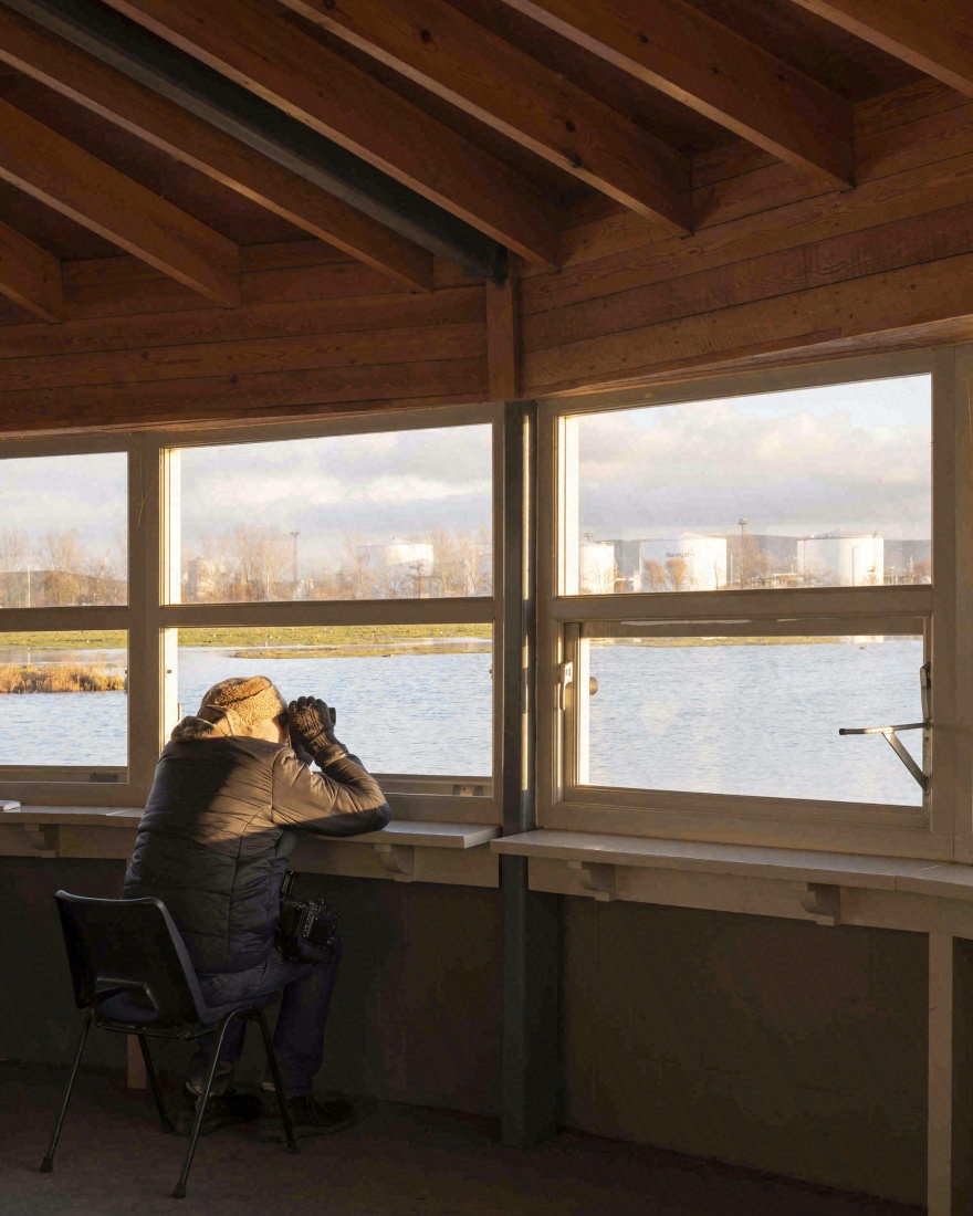 索尔索姆池塘鸟类隐蔽所丨英国丨Child Graddon Lewis-42