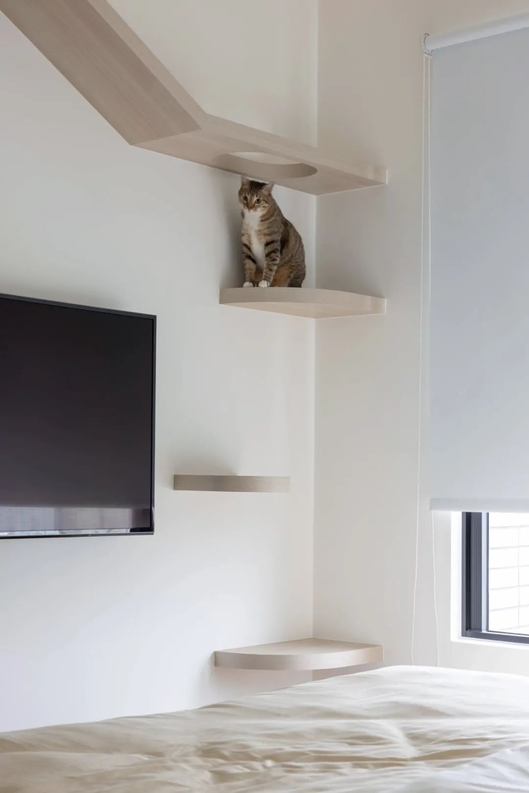 120㎡猫奴的家，温润自由的开心乐园！-42