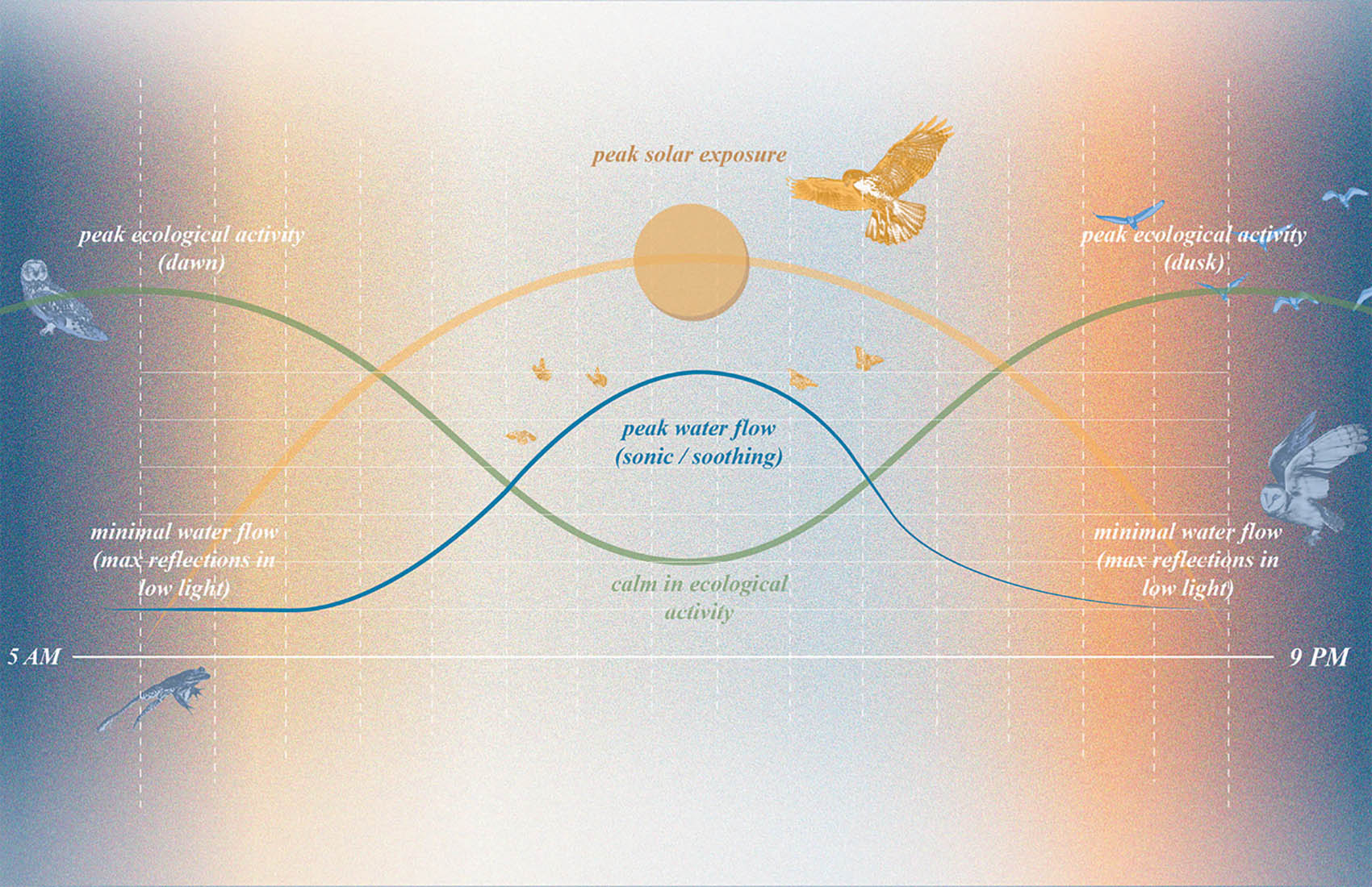 桑迪胡克“林间空地”纪念园丨美国康涅狄格丨SWA Group-43