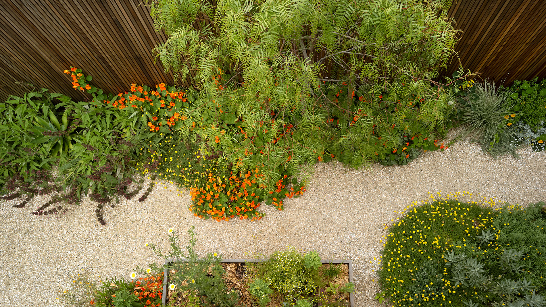 身边风景 | Soft Studio-16