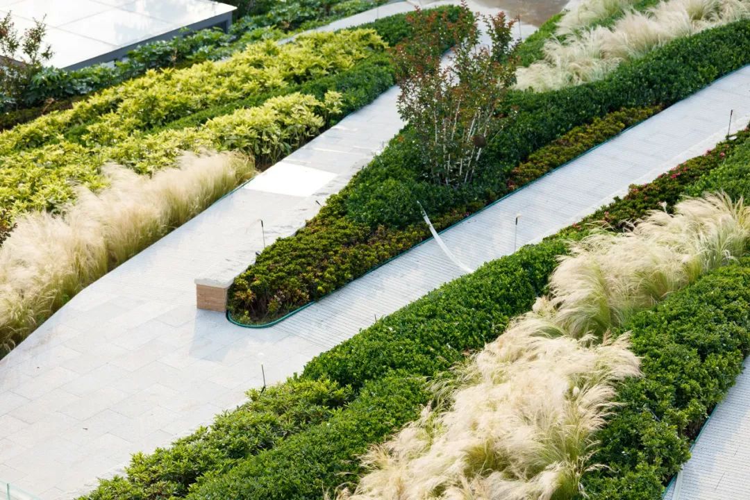 二象复合的城市复甦,中国纺织工人疗养院酒店丨中国青岛丨联创域韬景观-69