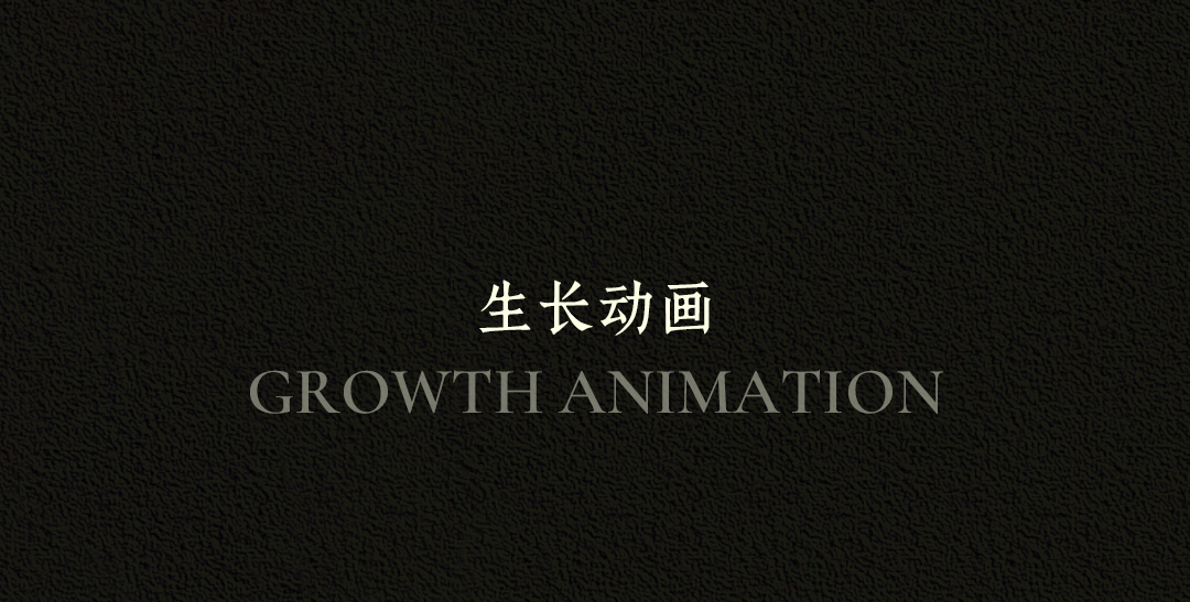 新作 自然之下的无界洄游丨紫香舸-3