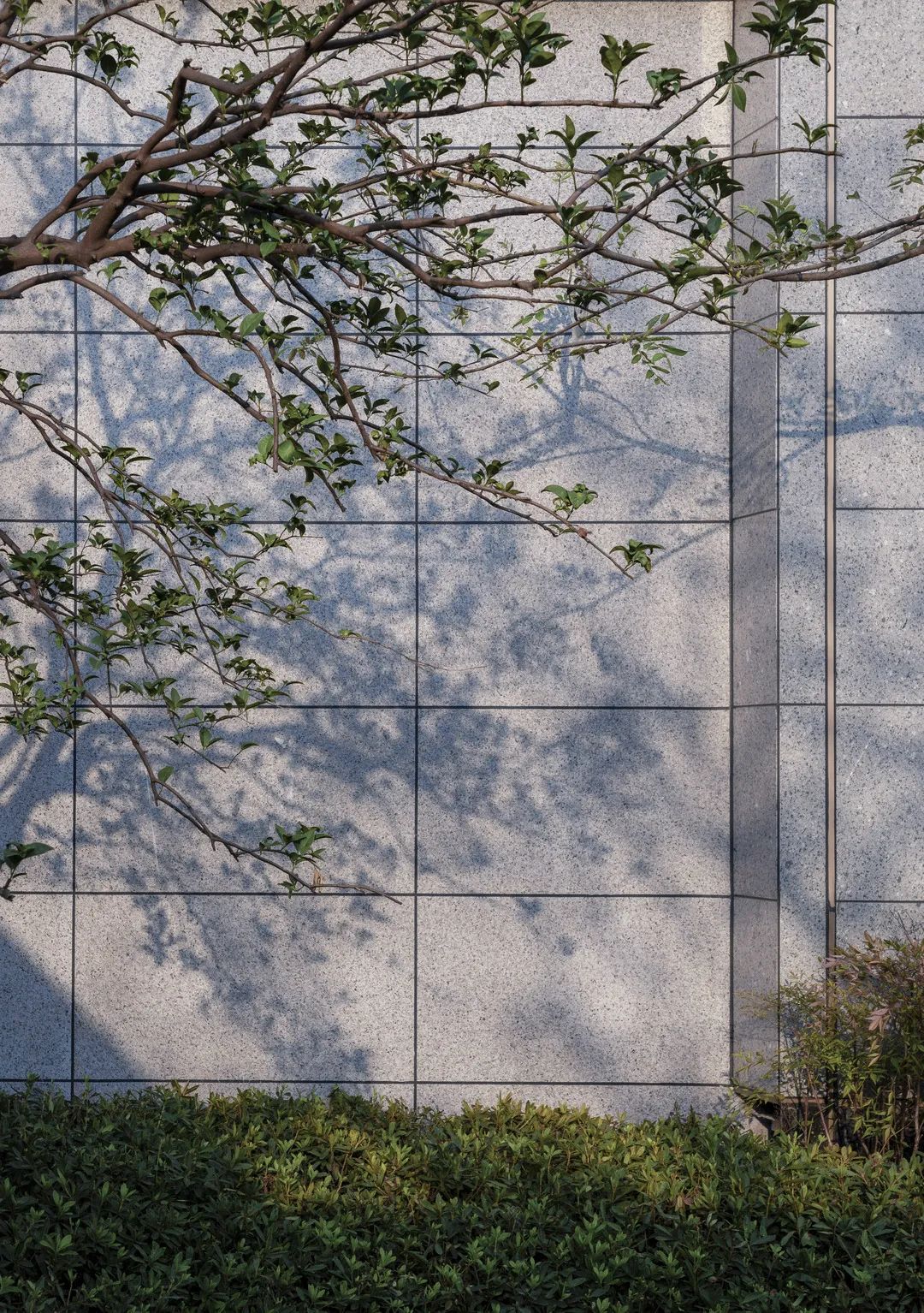 繁花水巷里的诗意栖居——奥山弘阳·题红樾里-26