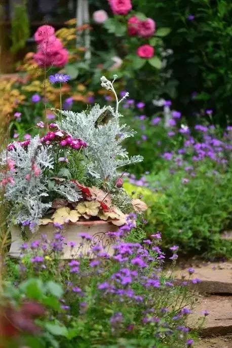 他建了座2亩的鲜花小院，满足你对花园的所有幻想-50