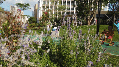 深圳龙华绿廊公园三期丨中国深圳-132