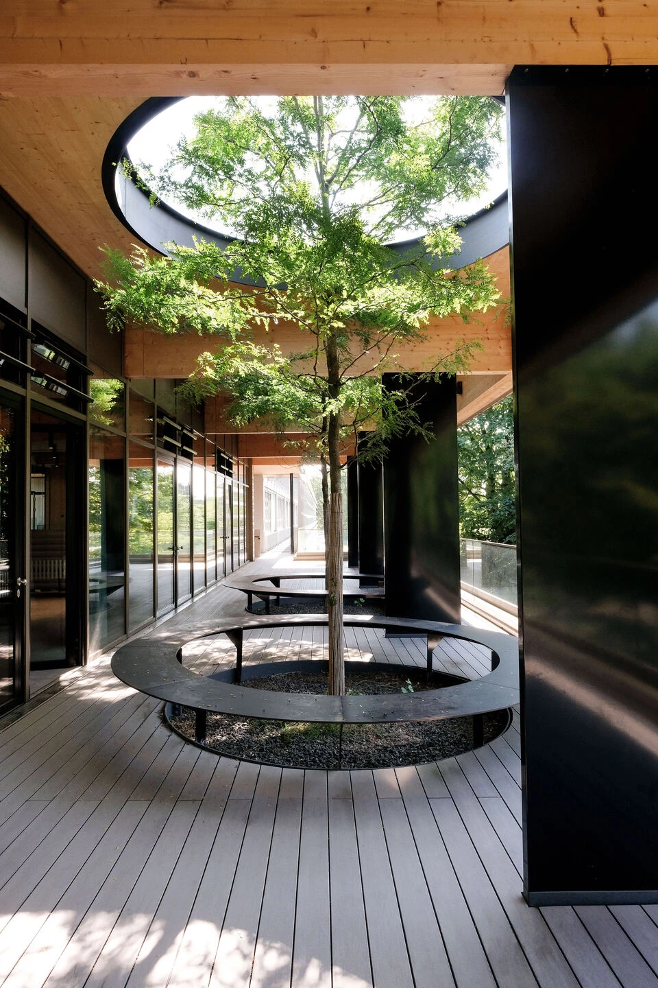 Gymnasium Neubiberg 中学扩建丨德国丨Peck.Daam Architekten-11