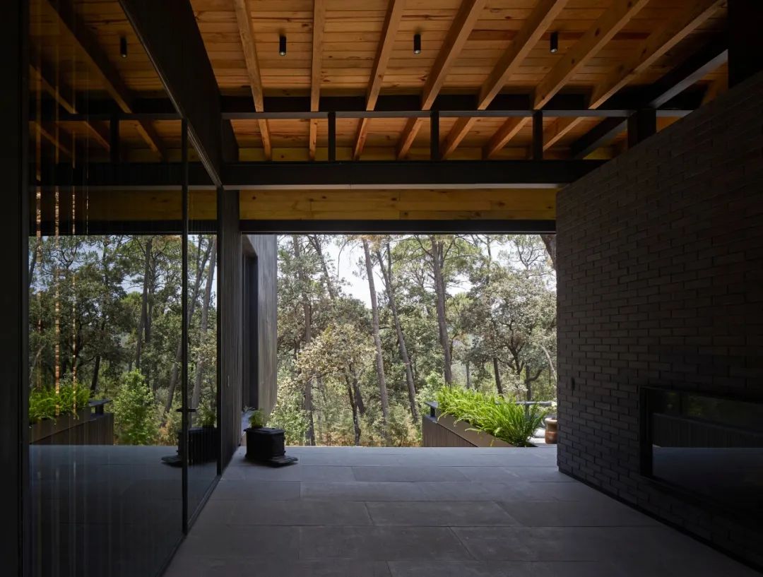 墨西哥现代住宅设计 | 融入自然，展现多元文化-129