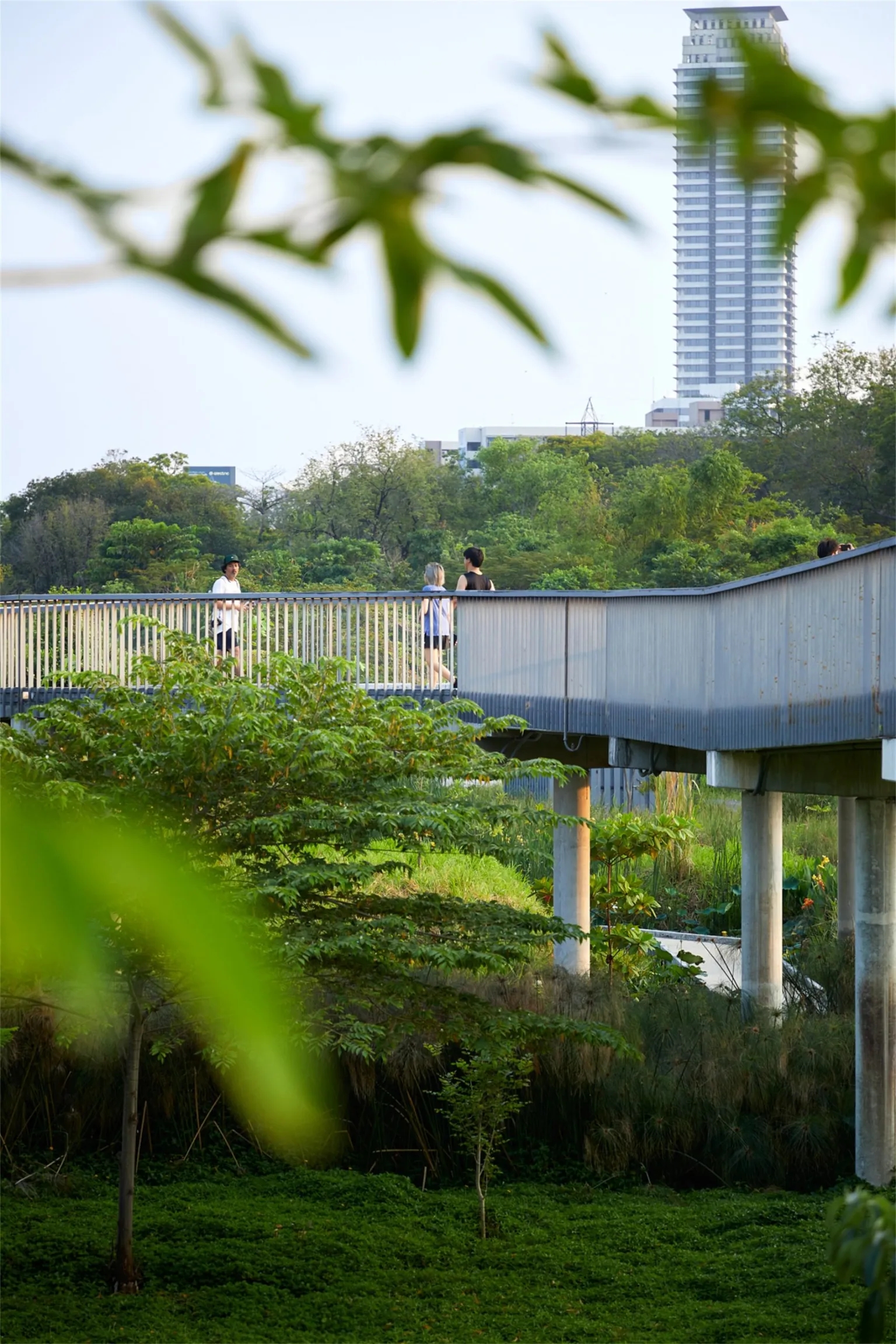 曼谷班加科特森林公园丨泰国曼谷丨土人景观-31