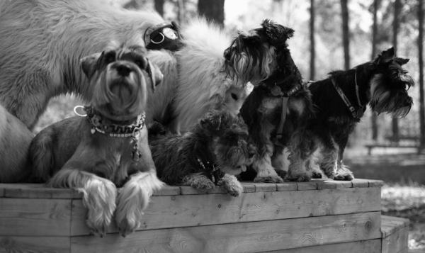 Парк Прибрежный（滨河公园）丨俄罗斯-43