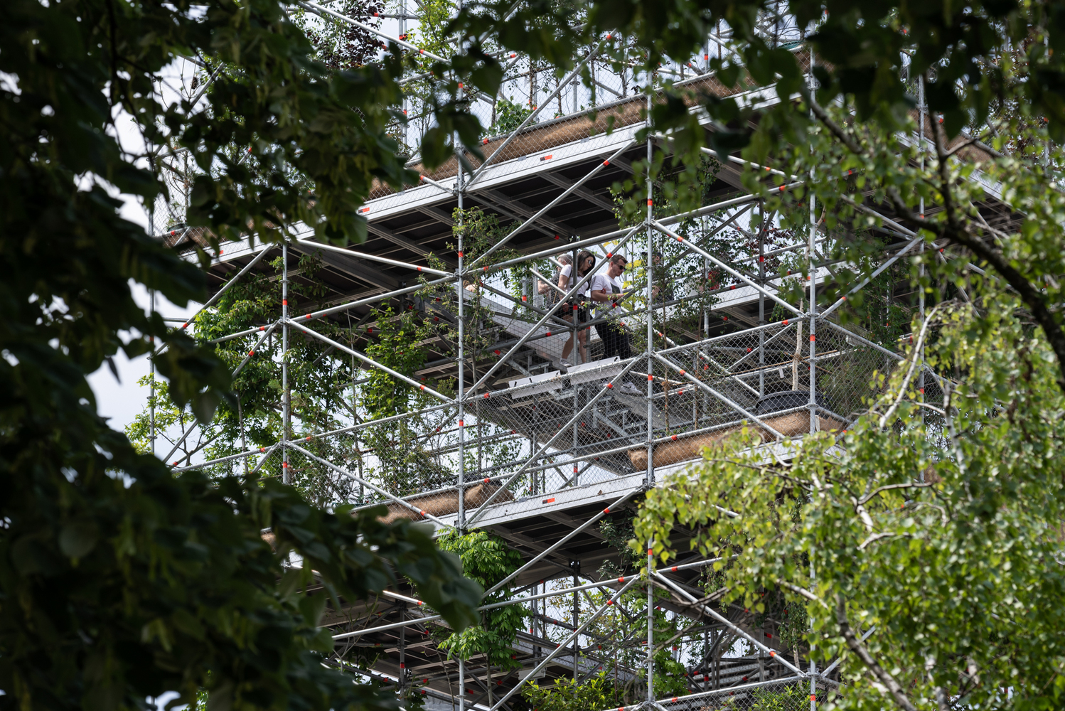 罗马尼亚蒂米什瓦拉垂直绿化奇迹-38