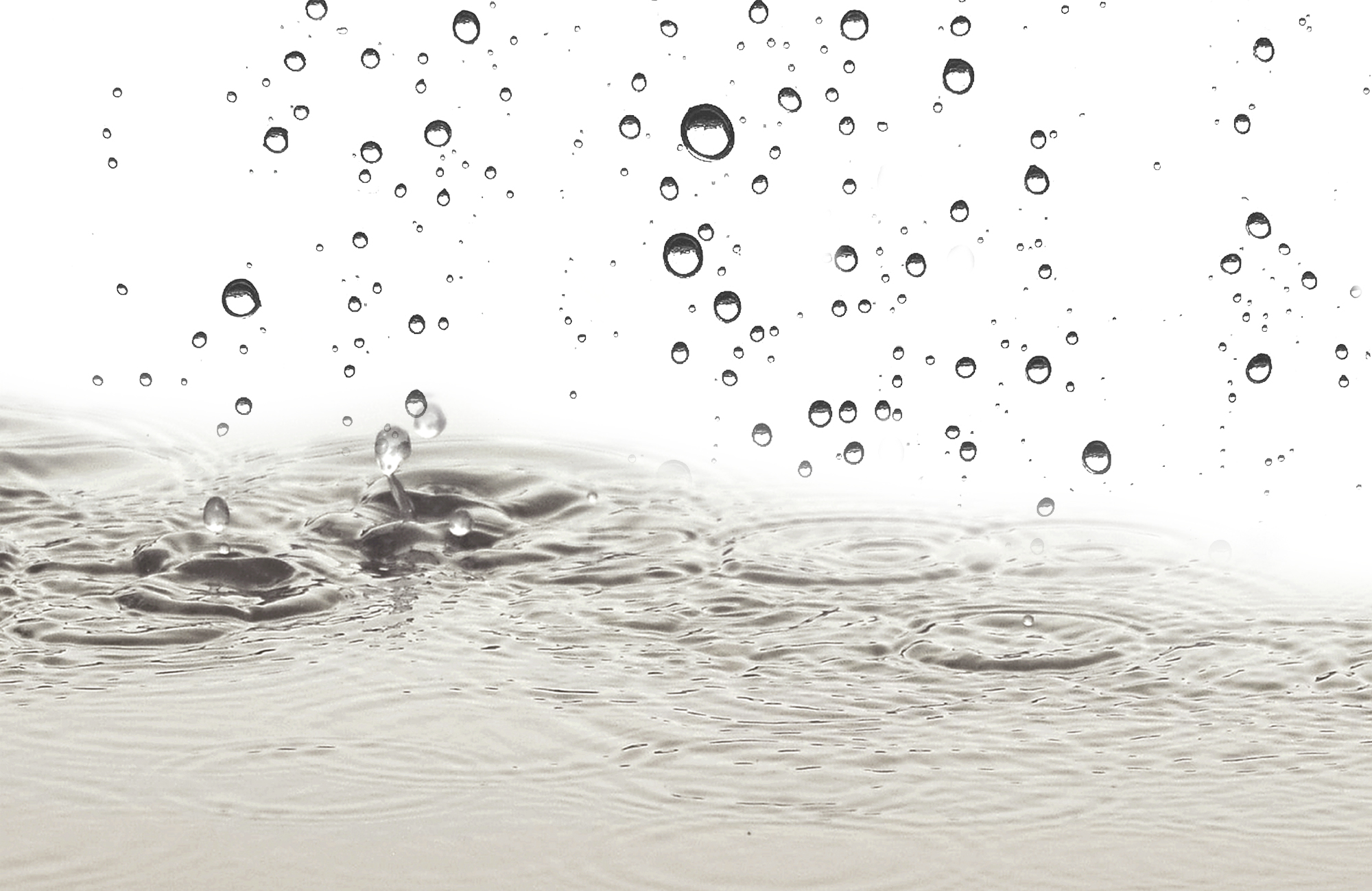 都和轩丨中国杭州丨AVAD范可萨设计-19