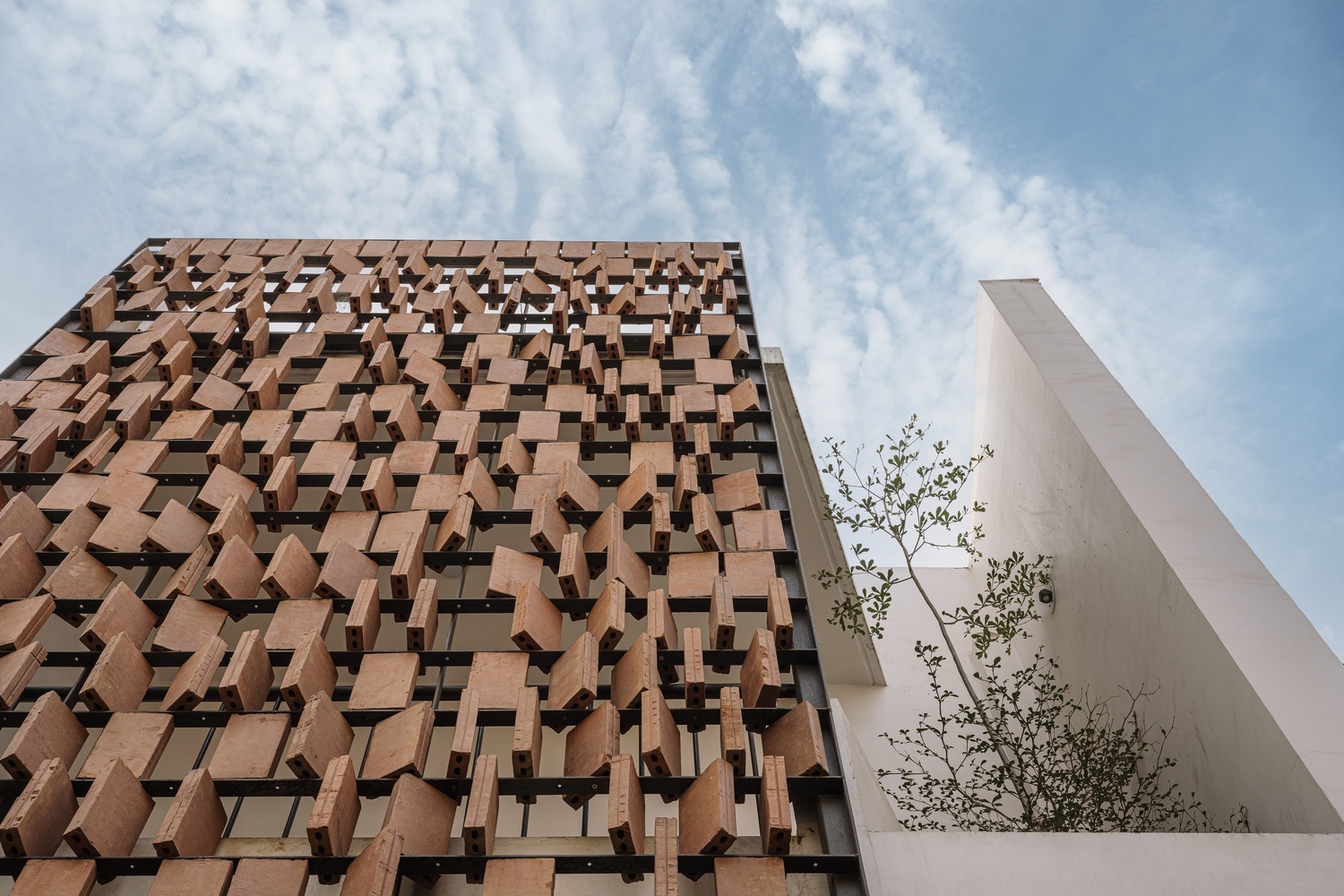 印度 Mandvi 的线性住宅丨The Company of Design-18