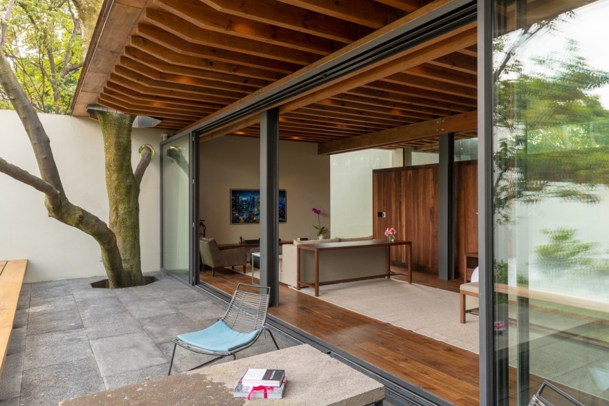 墨西哥城圣安吉尔住宅区扩建住宅-53