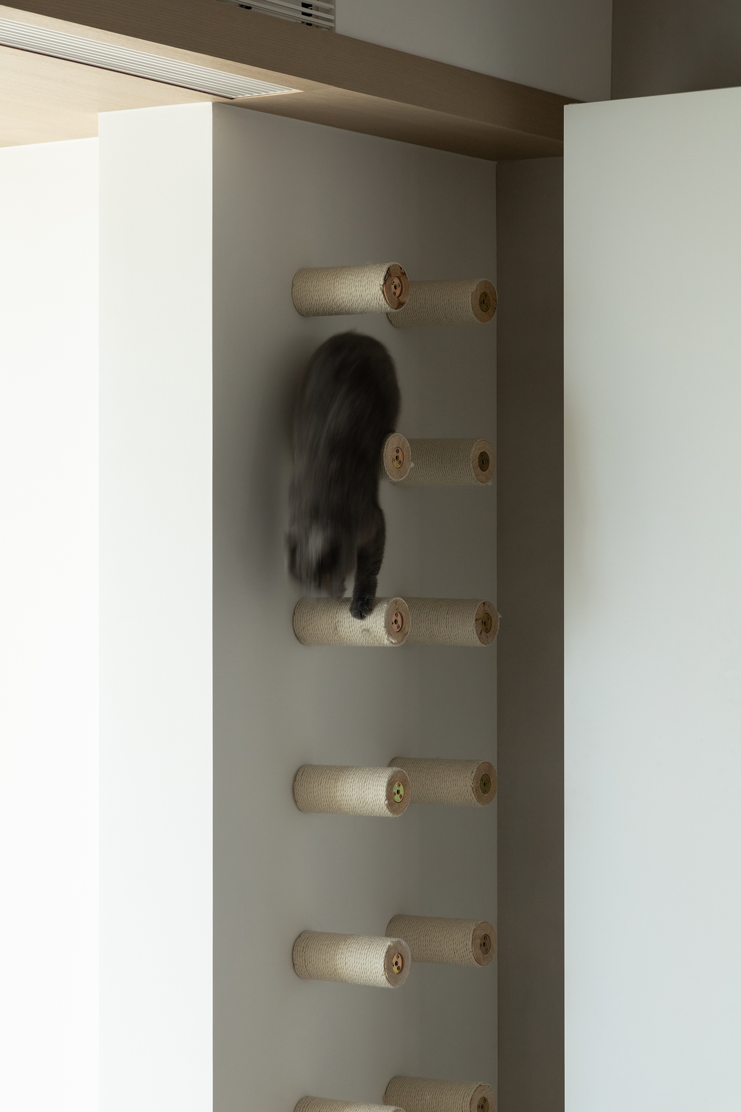 Z宅丨中国南京丨云行空间建造设计-26