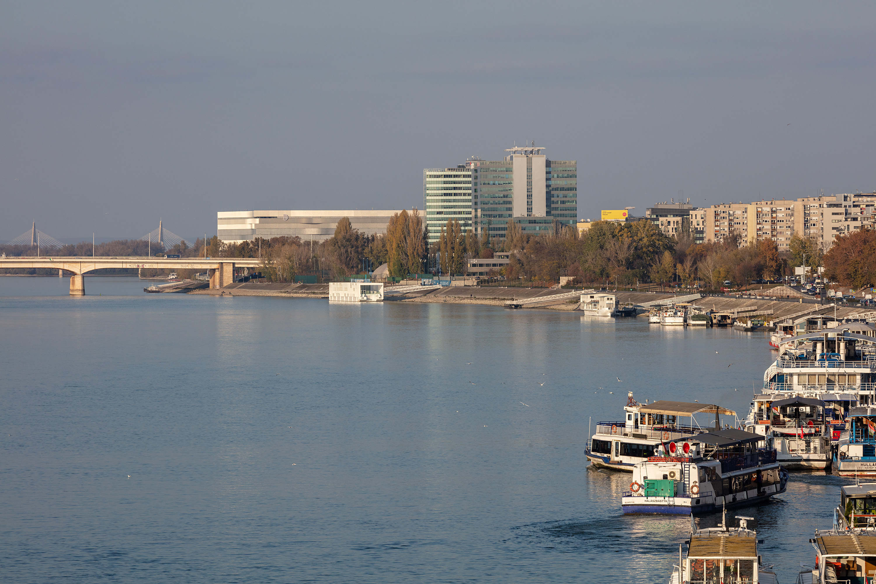 河上多功能运动中心·“方舟”-32