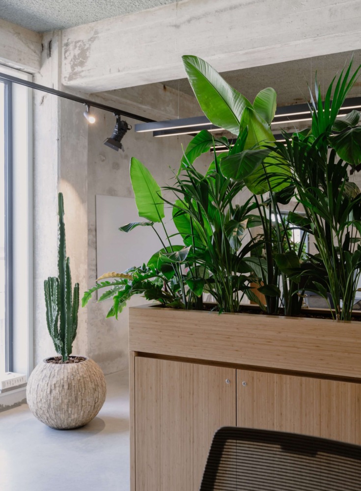 丨NetherlandsNijmegen-33