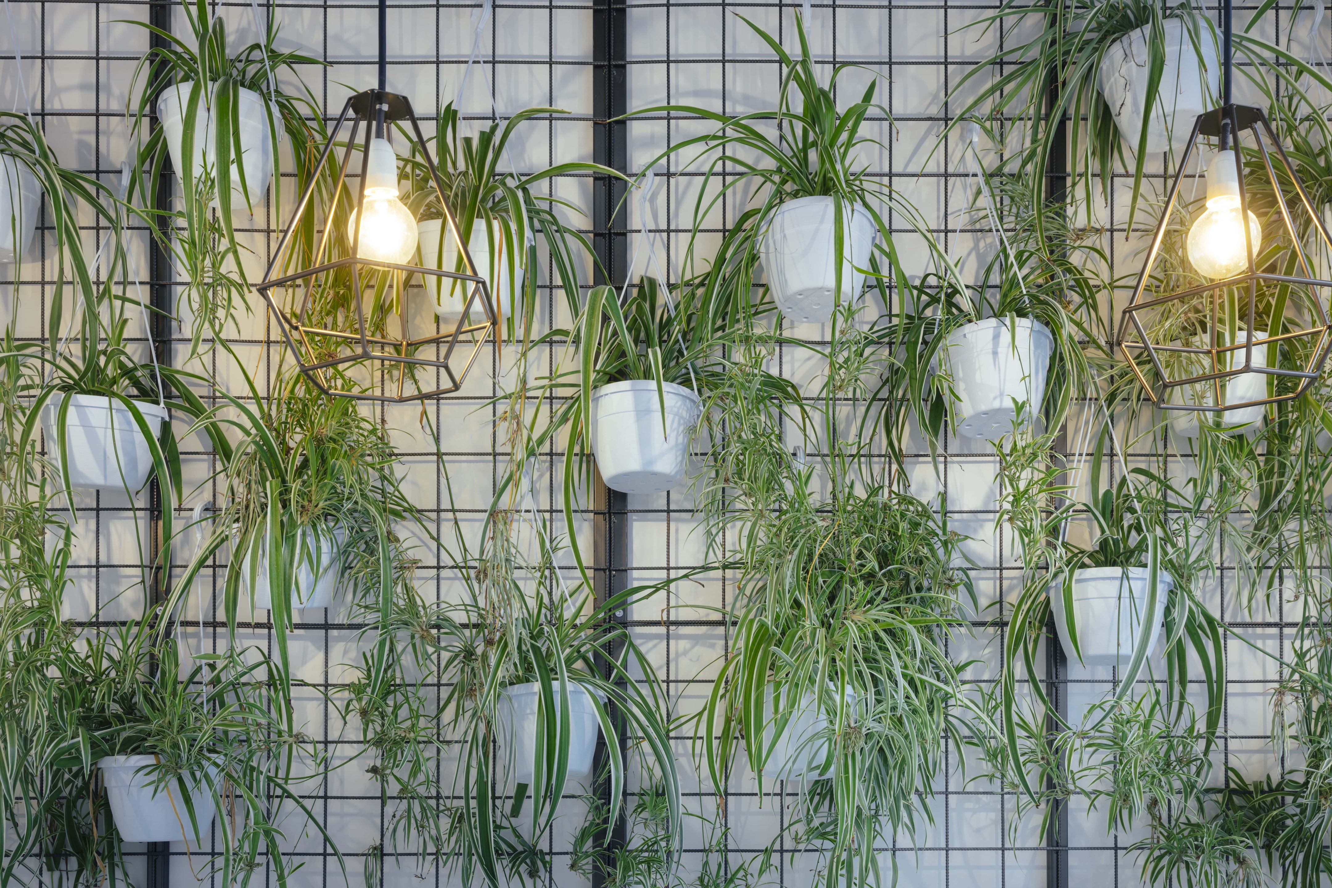 米兰美食广场 FRESCO 甜品店-15