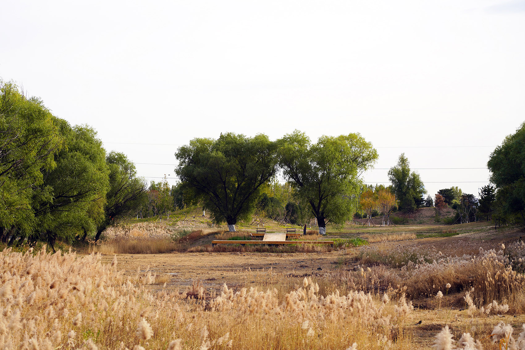 奥北森林公园二期景观及景观建筑系列丨中国北京丨北京北林地景园林规划设计院有限责任公司,北林风景建筑研究中心-164