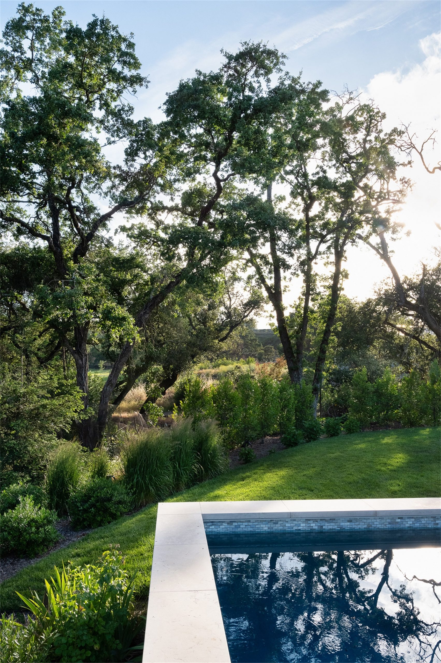 自然生长 · 私宅景观丨美国加利福尼亚-25