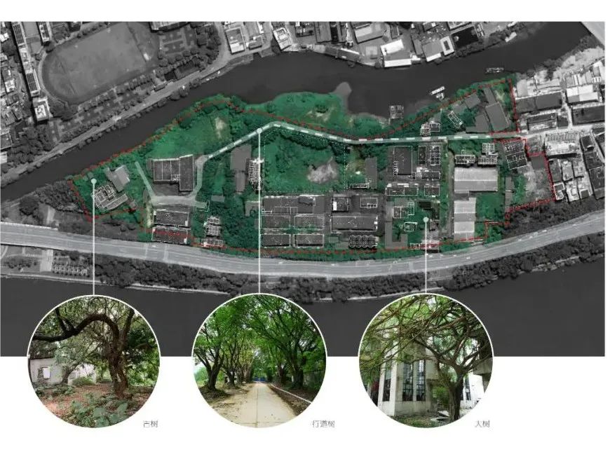 东莞鳒鱼洲文创园景观改造项目丨中国东莞丨源點設計深圳-14