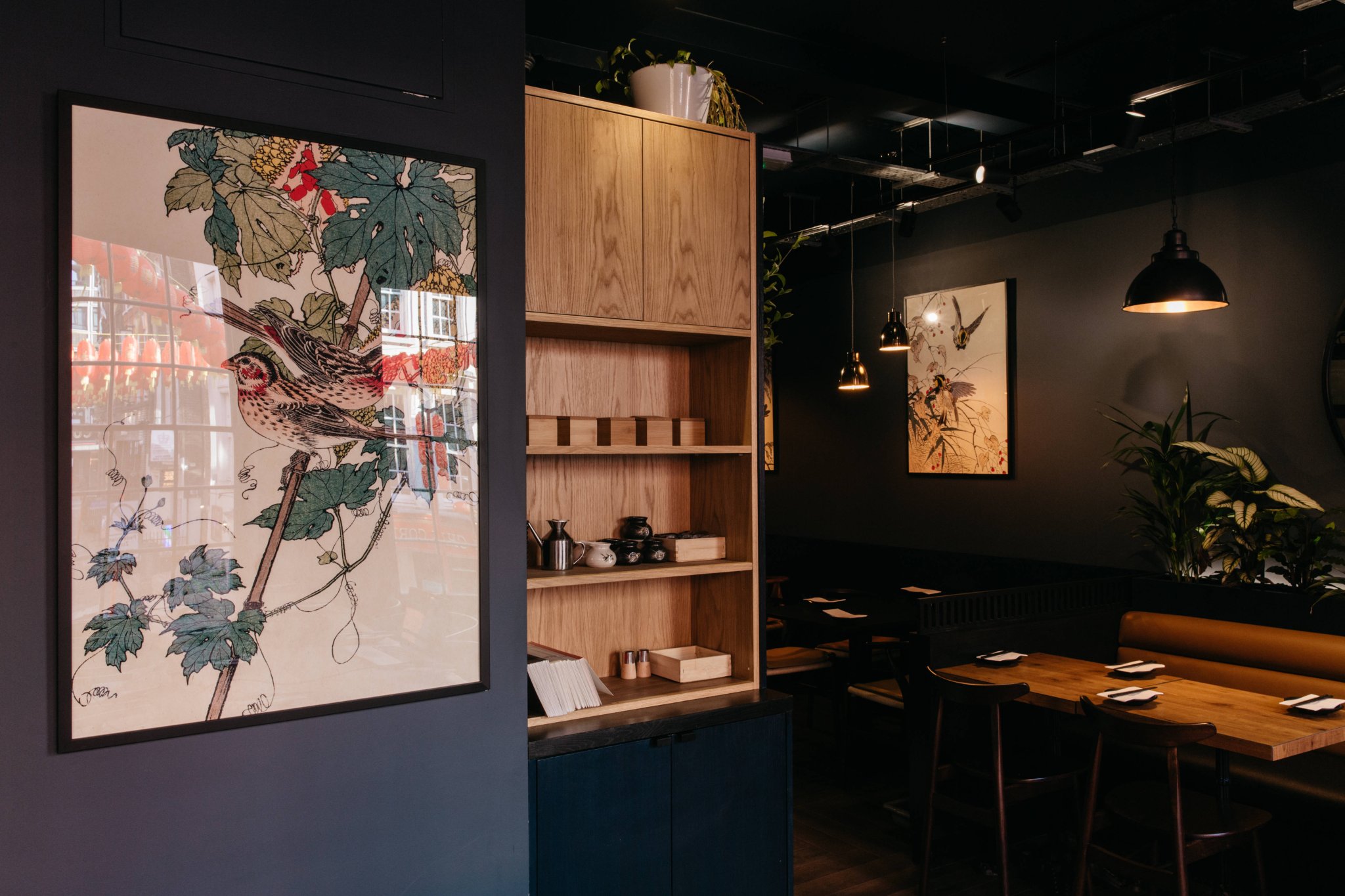 大分索霍丨日本丨Muzo-4