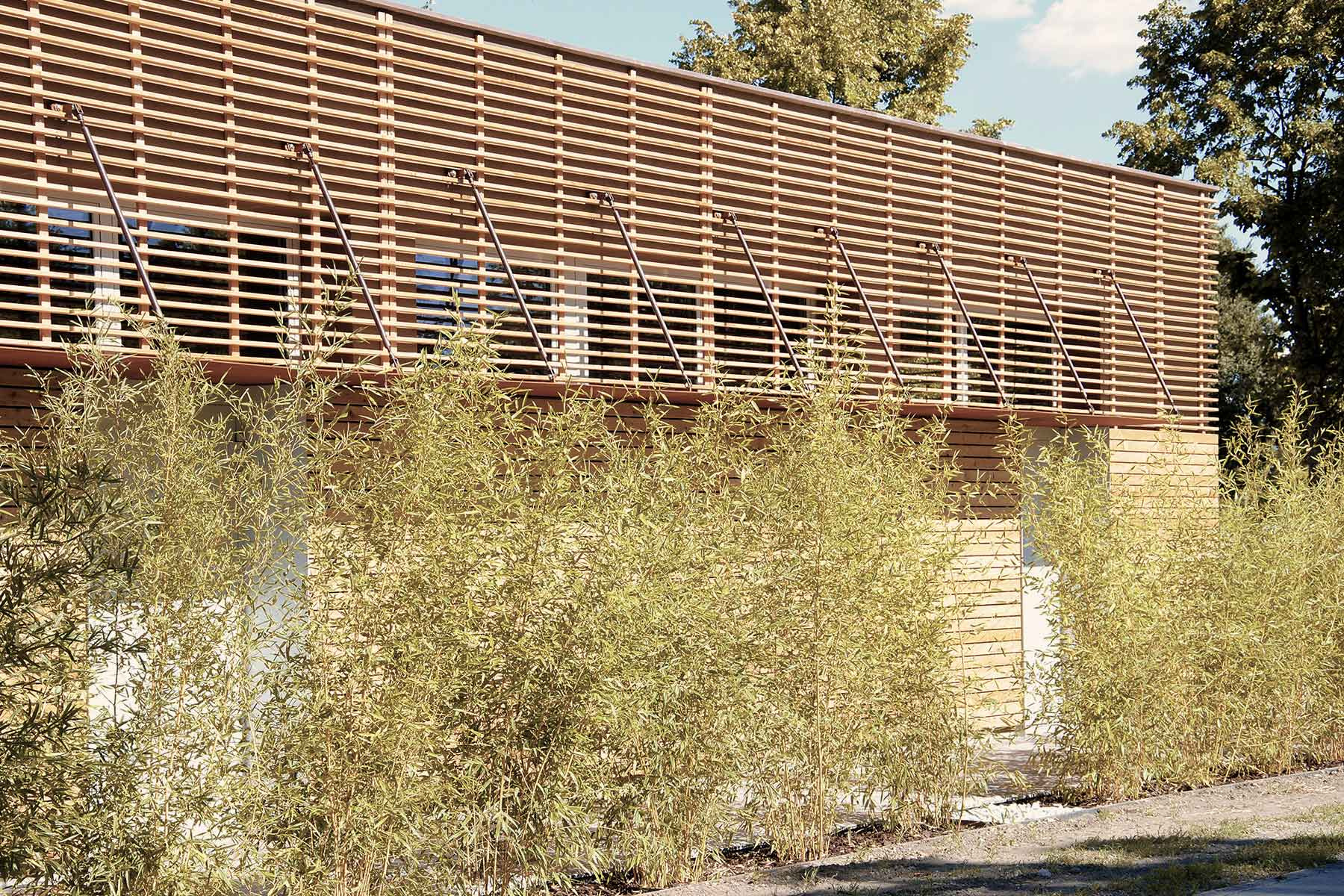 Canottieri Mincio Archiplanstudio-6