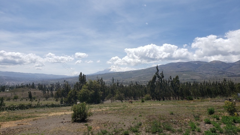 A--D -- Ananda EcoAldea: Creating Sustainable Communities-114