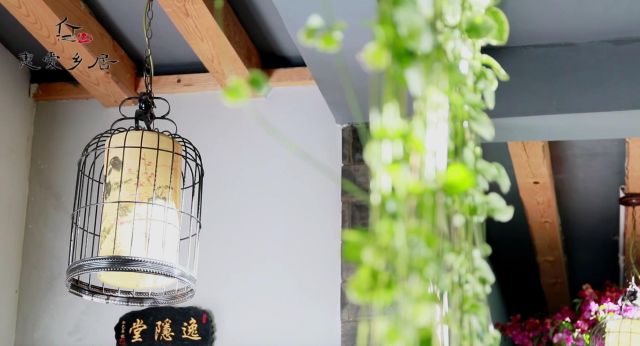 束河伽叶 丨 转不完的乡居，拍不完的风景-64