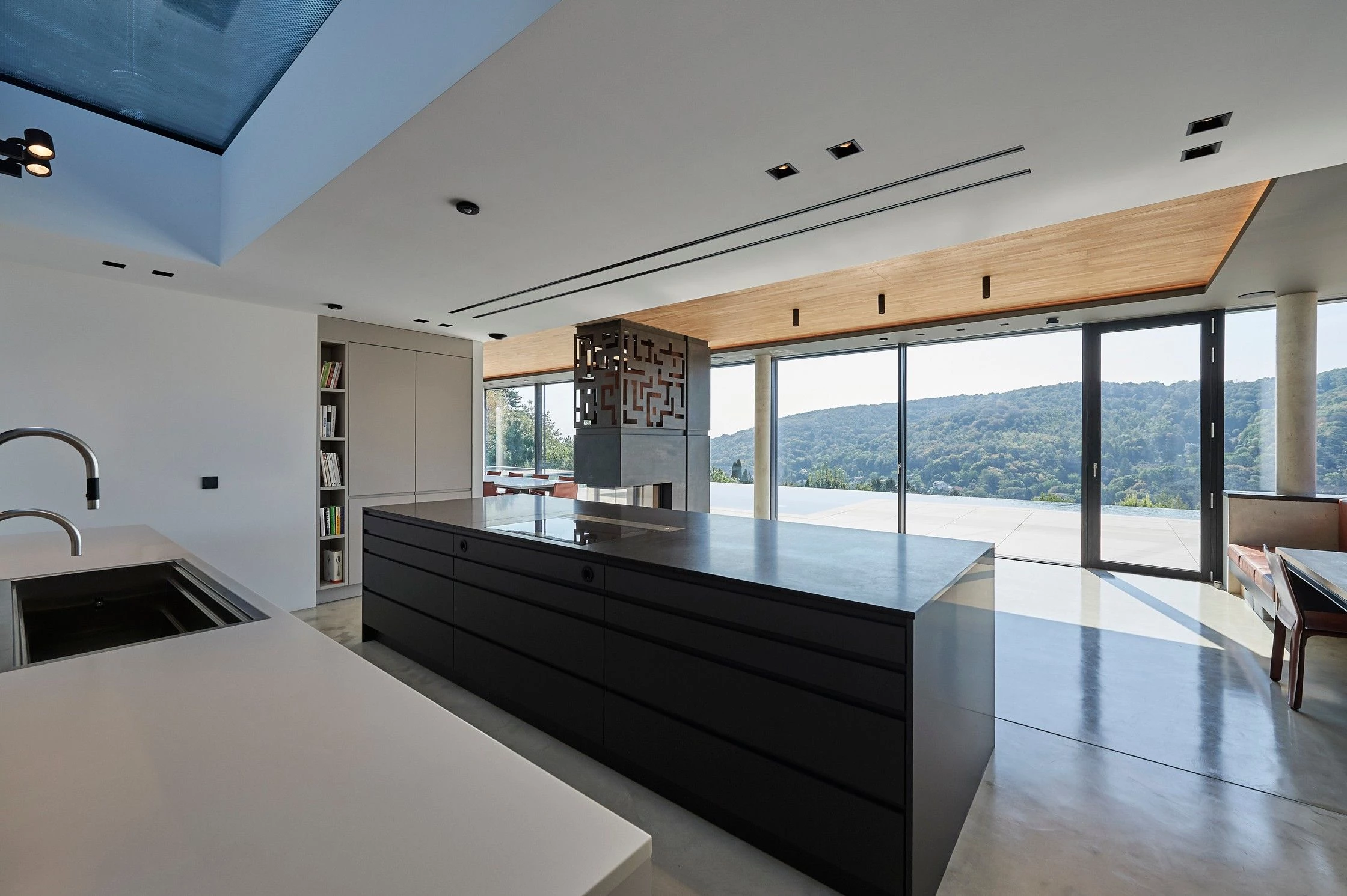 维也纳郊外森林中的“宽屏”之家-27