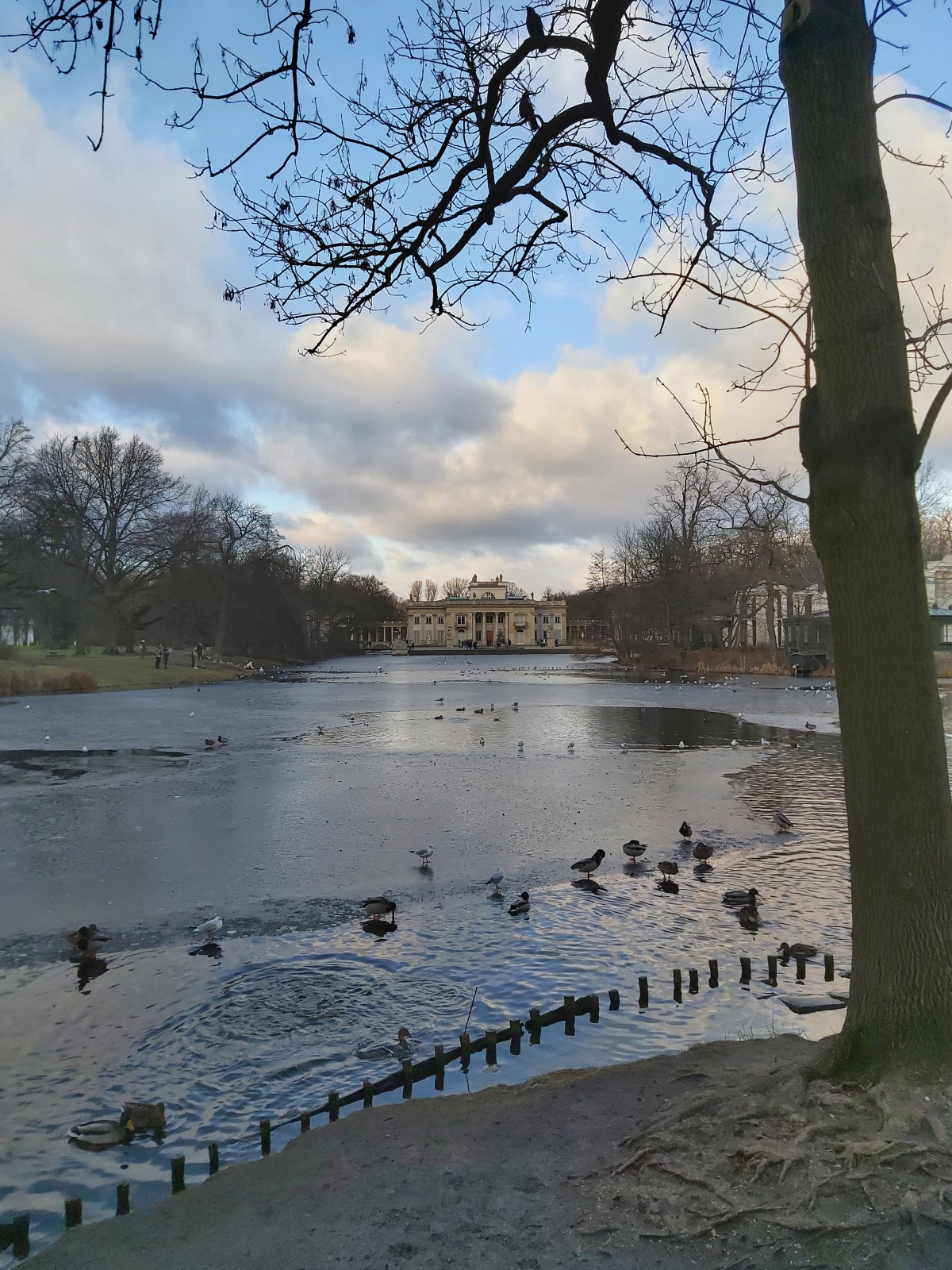 华沙皇家浴场公园内的岛屿宫丨波兰华沙丨蒂尔曼·冯·加默伦,多米尼克·梅林等-116