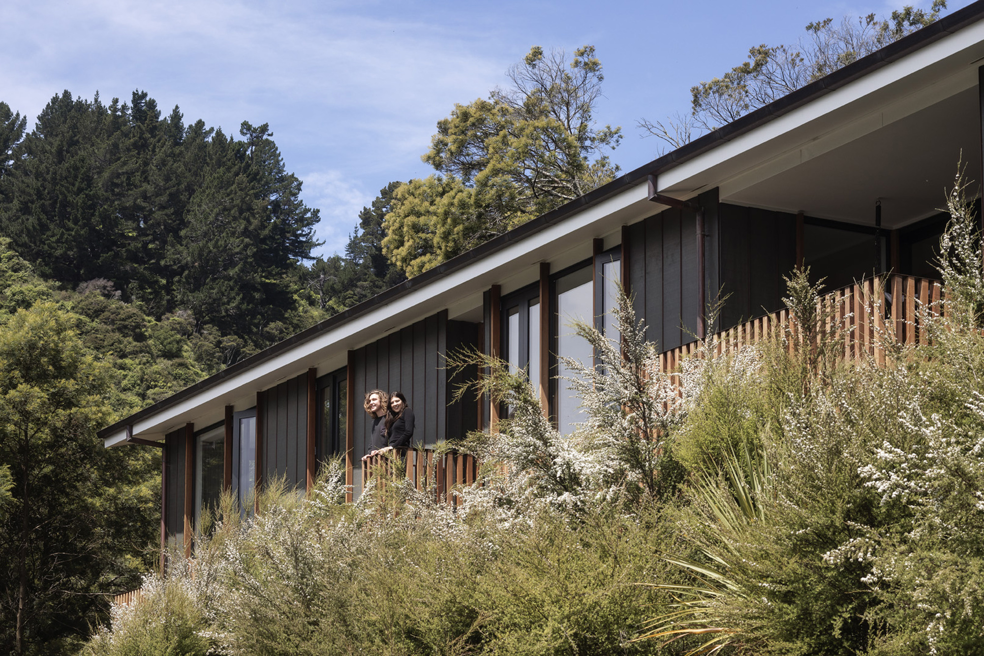 羽毛屋丨新西兰纳尔逊丨Irving Smith Architects-26