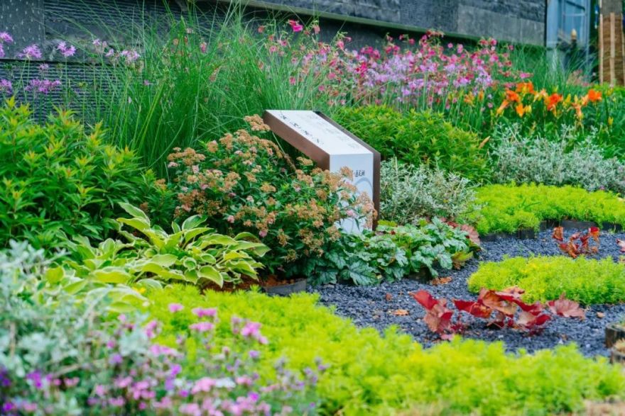 领地莲花湖 | 山水画境与人文融合的文旅小镇新概念-225