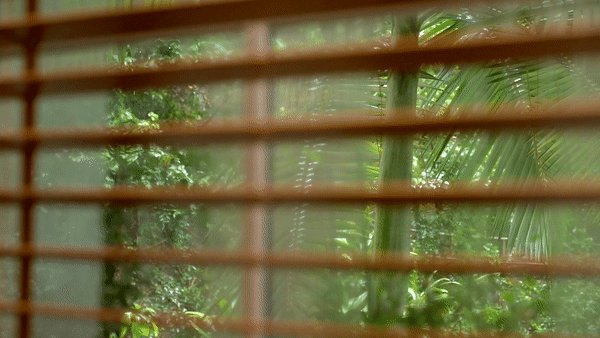 梅住宅丨中国香港丨Alexis Dupont Interiors-9