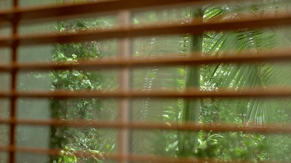 梅住宅丨中国香港丨Alexis Dupont Interiors-9