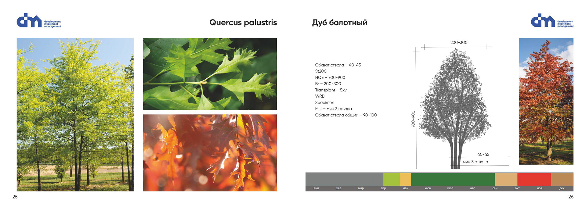 Greening standard for DIM Development-11