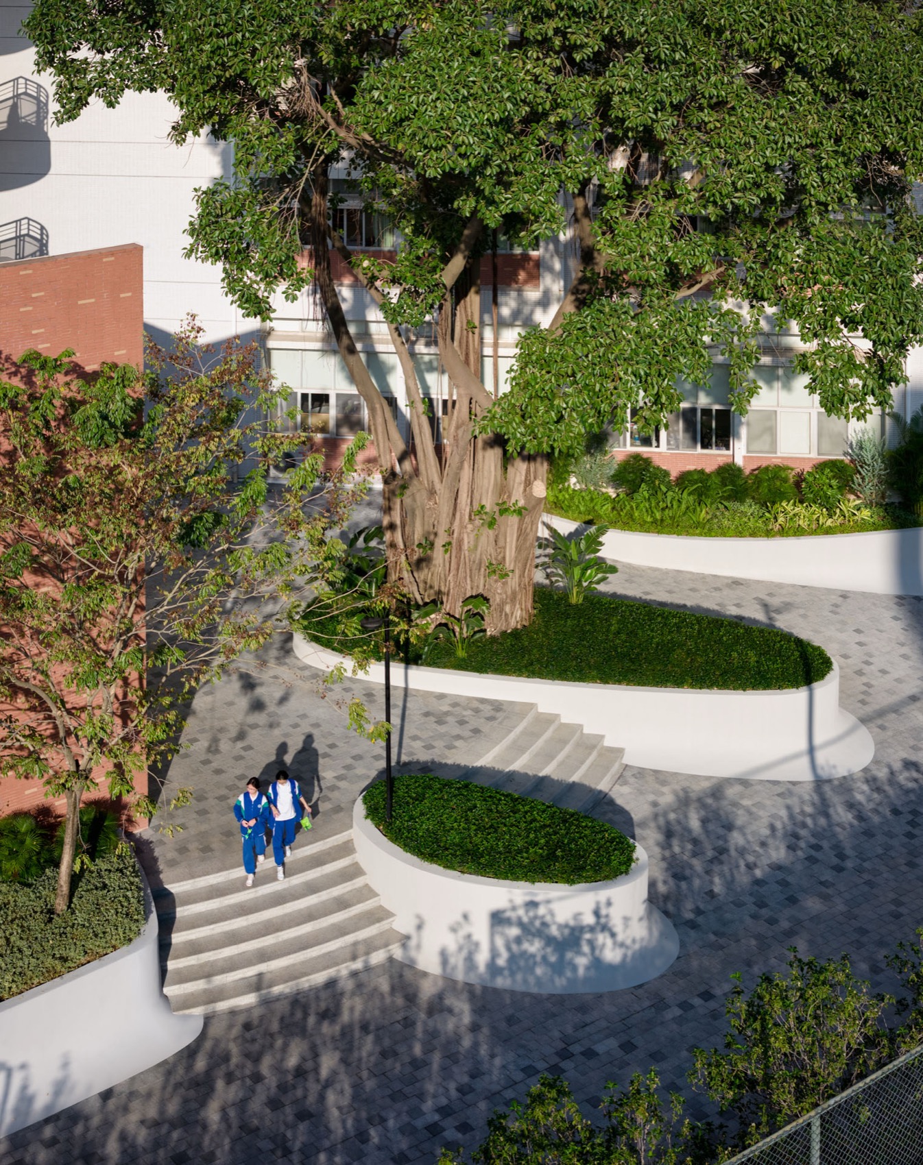 广州南方学院番禺附属中学景观改造丨中国广州丨BAM百安木-9